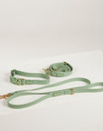 green collar and waterproof leads