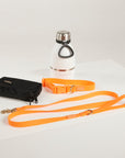 orange dog lead, dog collar, bottle and poop bag