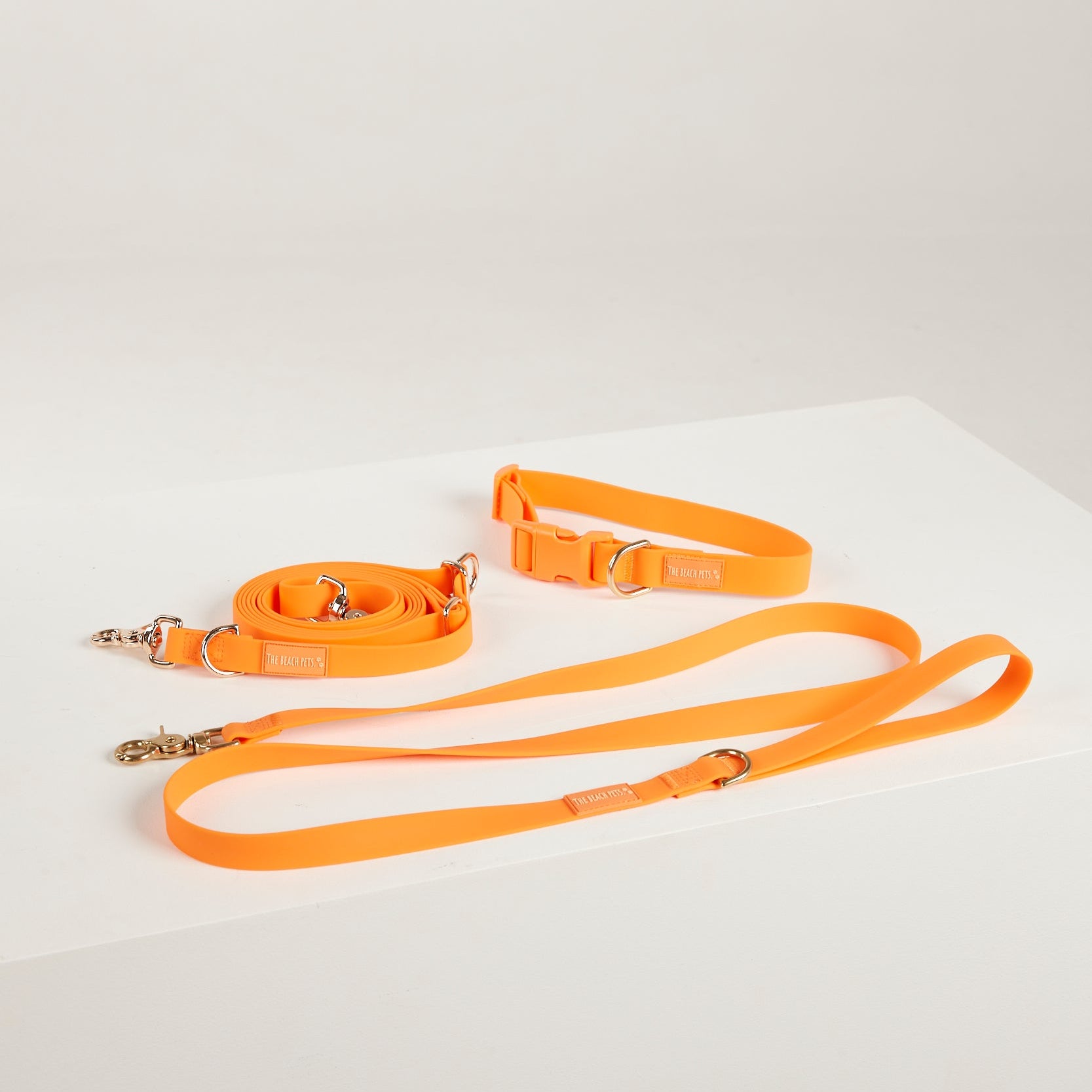 orange waterperoof collar and hands free leash