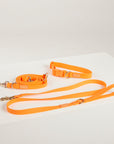 orange waterperoof collar and hands free leash