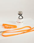 orange dog collar orange dof leash and waterbottle