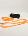 orange lead, waterproof collar, dog poo bag