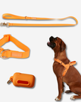 Daily Walk Pack