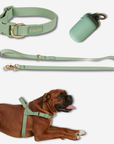 Daily Walk Pack
