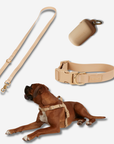 Daily Walk Pack