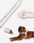 Daily Walk Pack