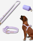 Daily Walk Pack