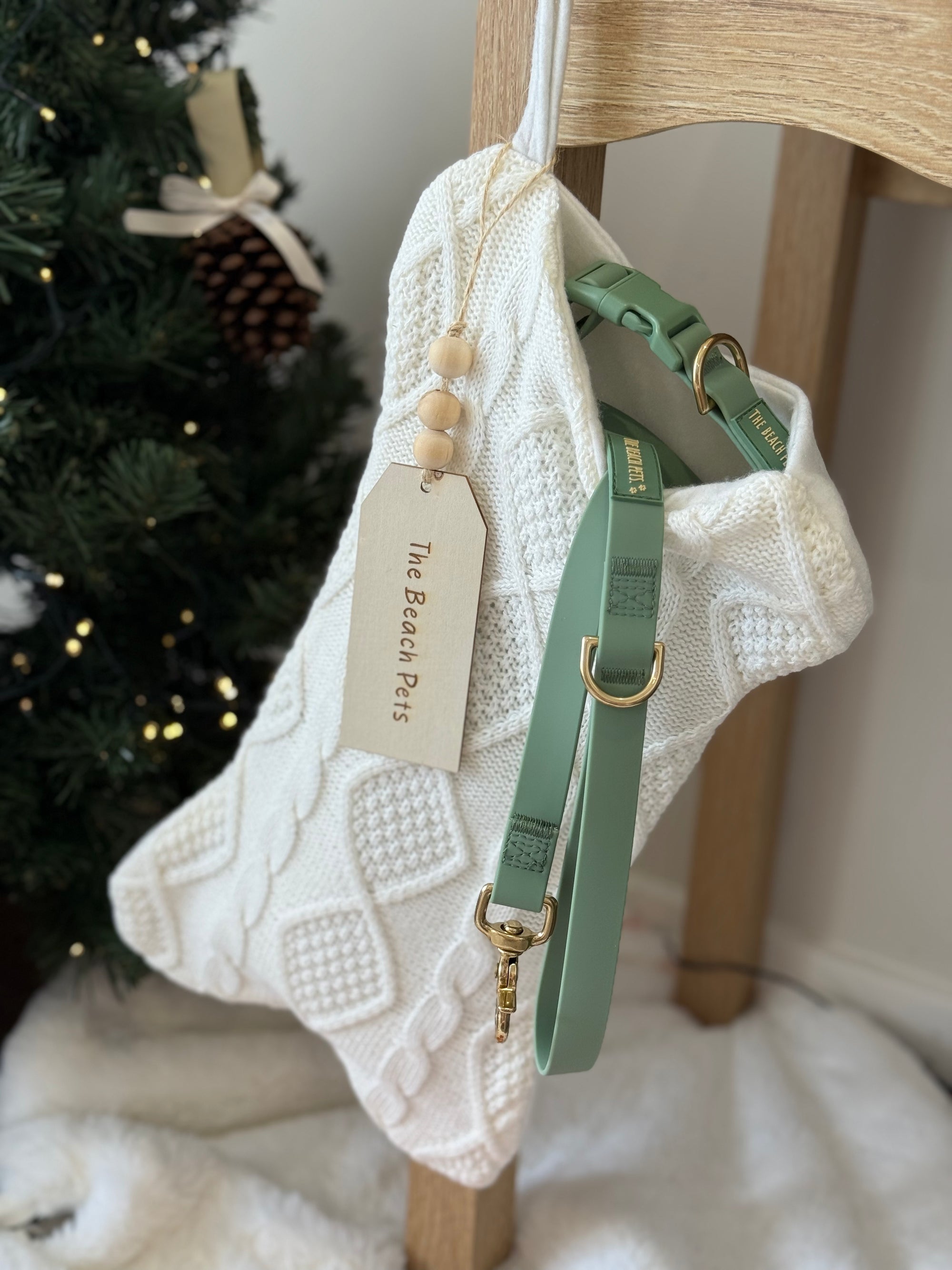 Green dog harness on a knitted christmas stocking  with a Christmas tree in the background