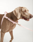 Waterproof harness - Baby Pink