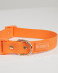 Waterproof Dog Collar - Orange