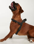 Waterproof harness - Black
