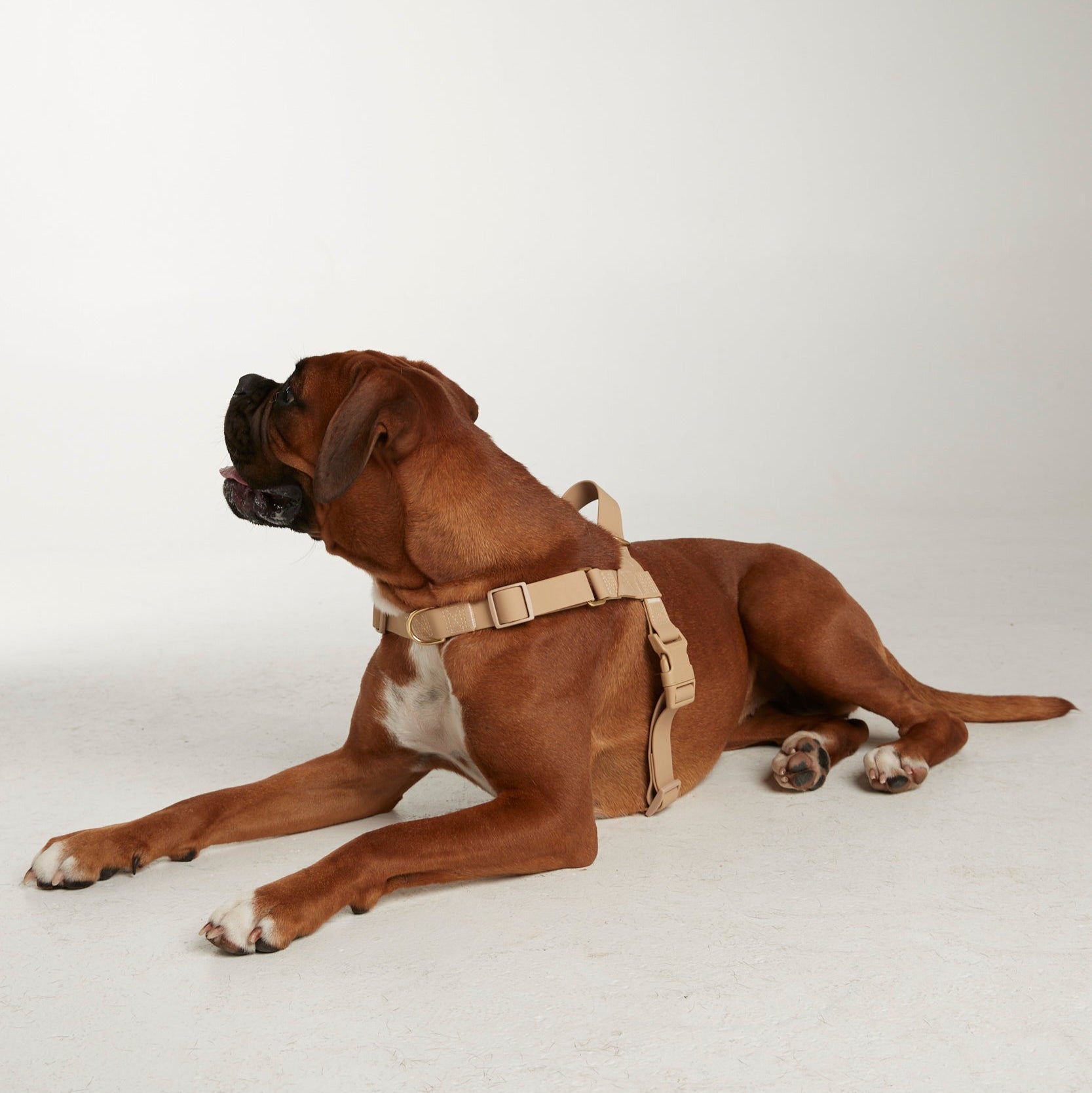 Waterproof harness - Sand