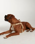Waterproof No-Pull Dog Harness - Sand