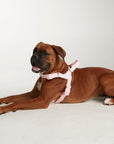 Waterproof harness - Baby Pink