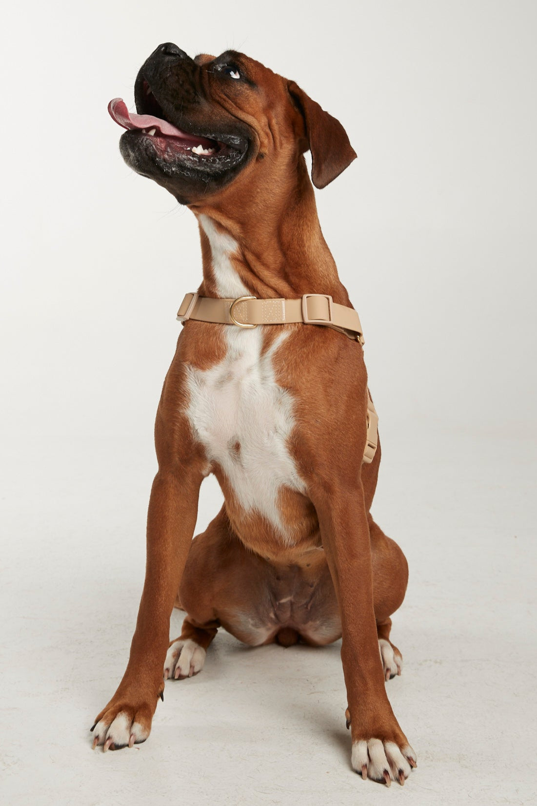 Waterproof harness - Sand