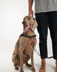 Waterproof harness - Black