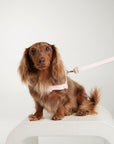 Waterproof harness - Baby Pink