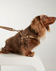 Waterproof harness - Sand
