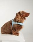 Waterproof harness - Sky Blue