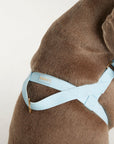 Waterproof harness - Sky Blue