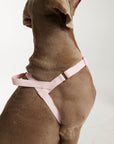 Waterproof harness - Baby Pink