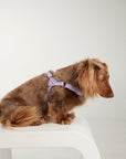 Waterproof harness - Lilac
