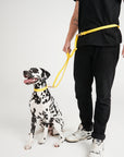 Hands Free Dog Lead - Yellow