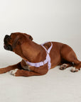 Waterproof harness - Lilac