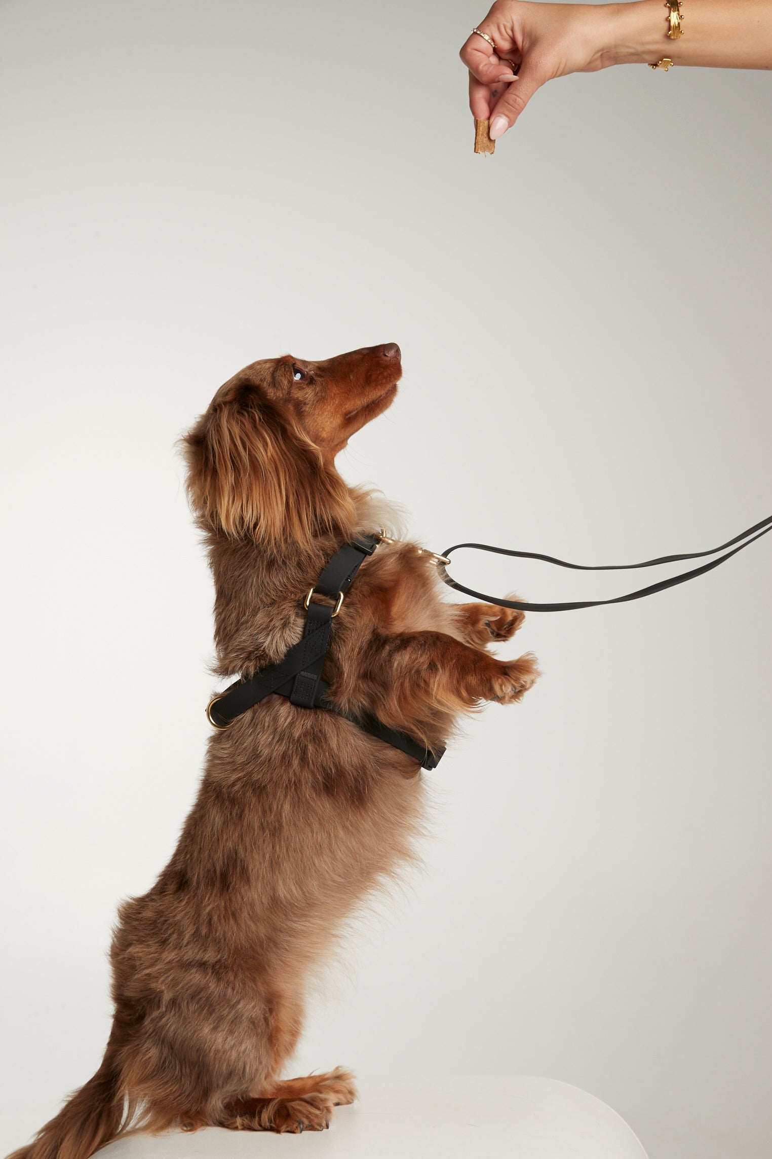 Waterproof harness - Black