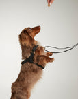 Waterproof harness - Black