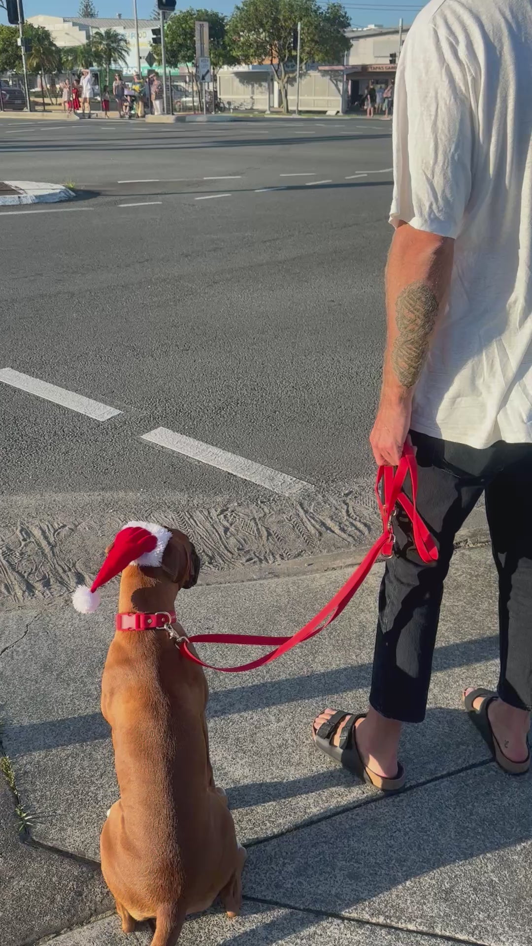 waterproof dog leash cherry red