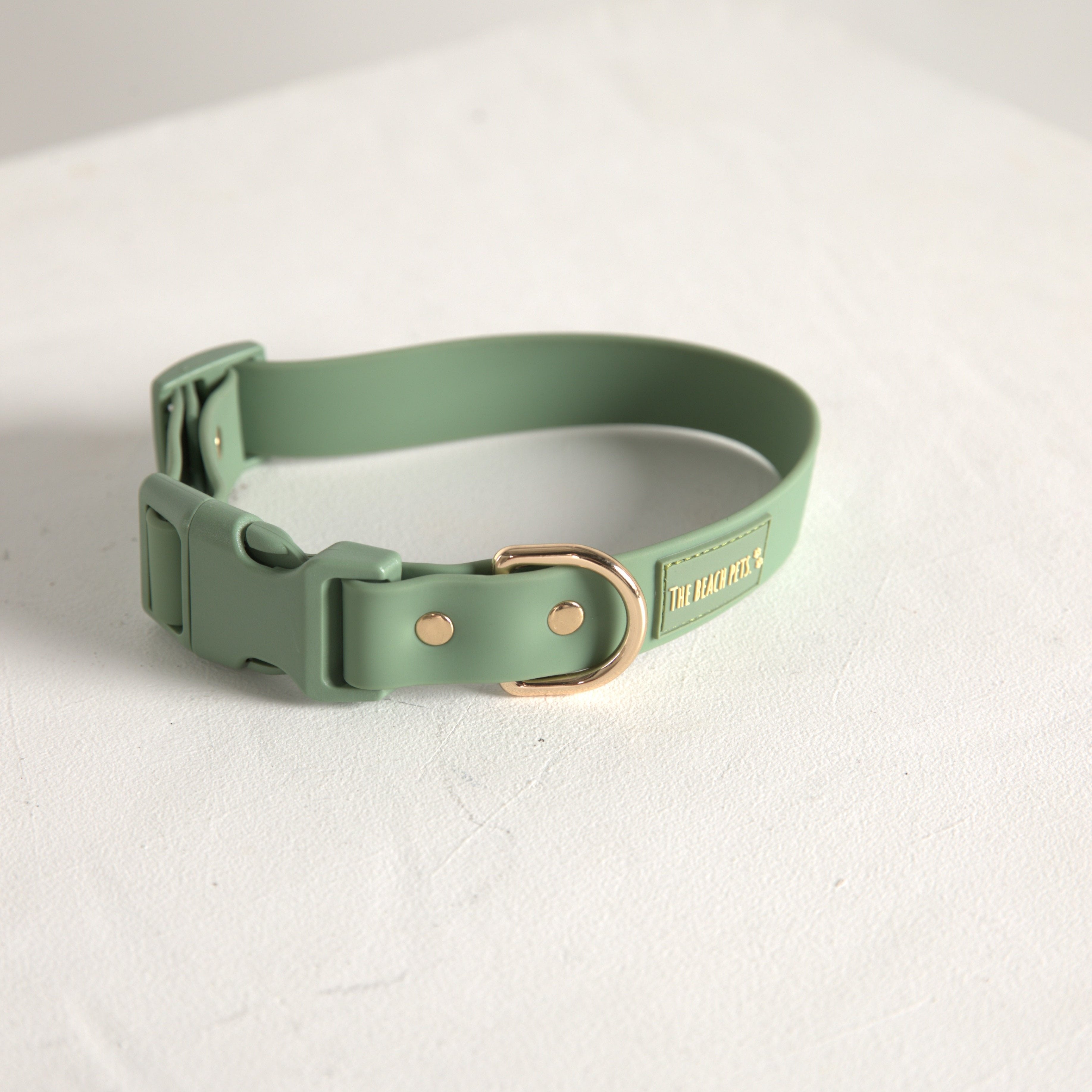 mint green dog collar