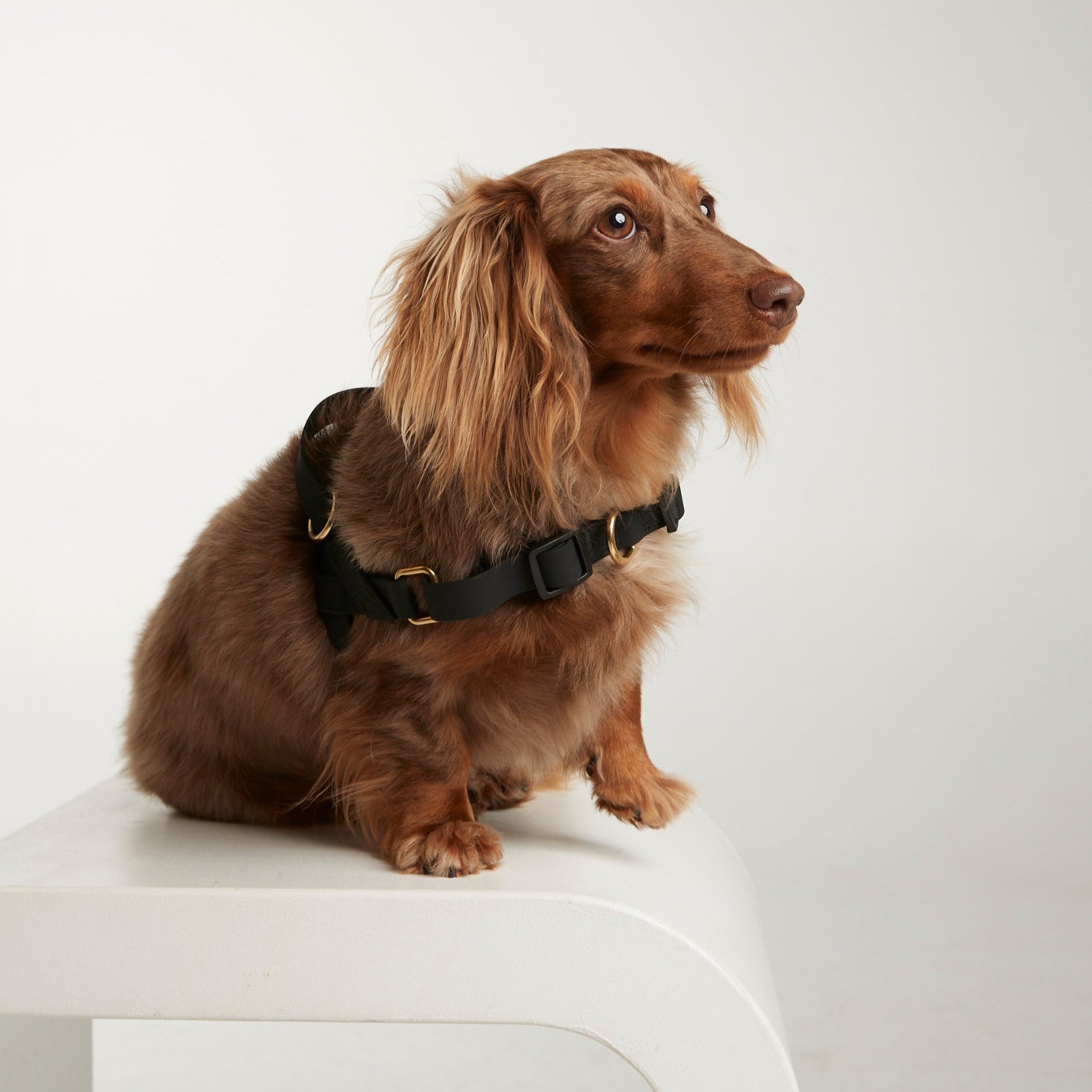 Waterproof harness - Black