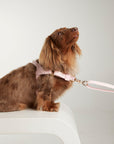 Waterproof harness - Baby Pink