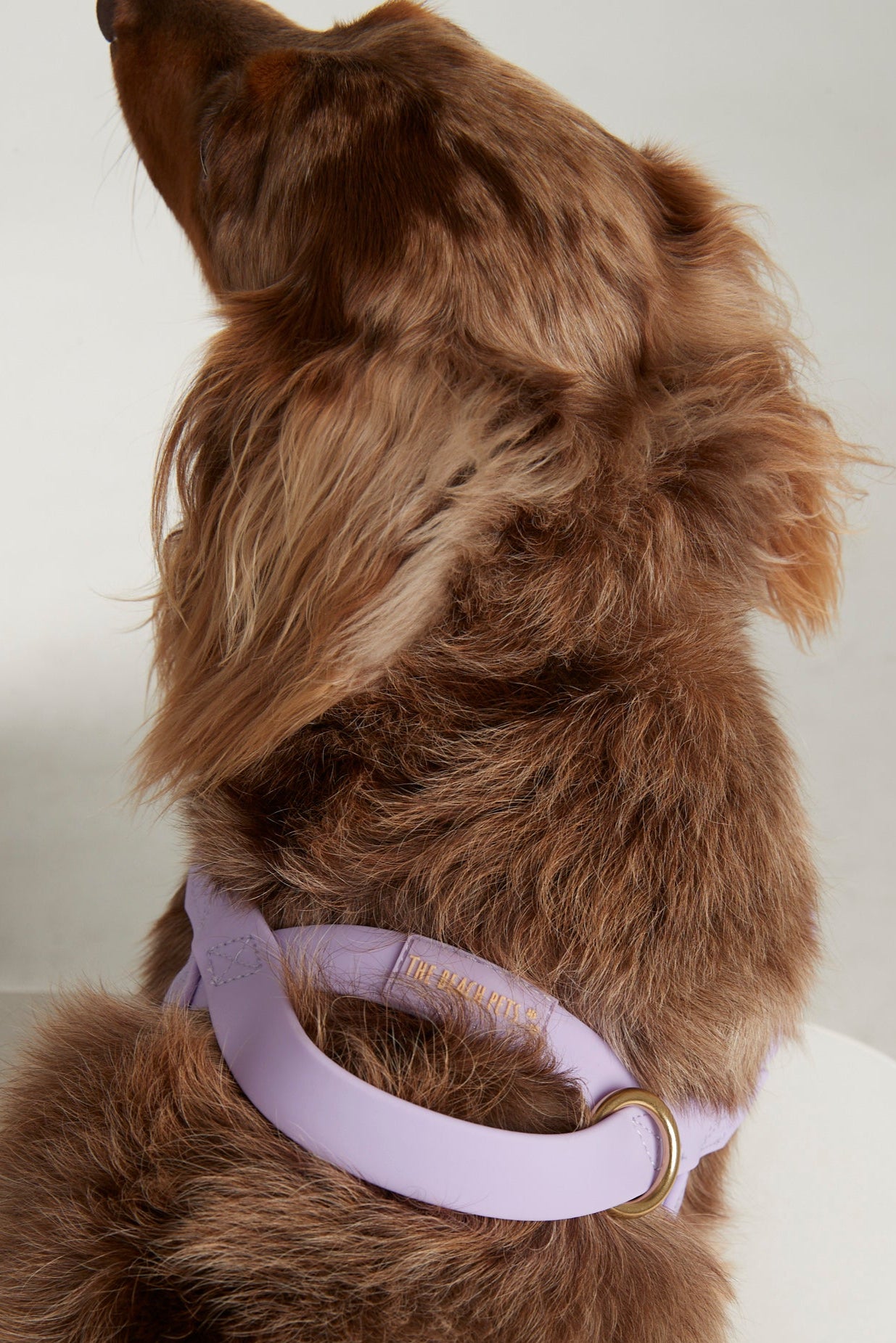 Waterproof harness - Lilac