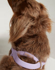 Waterproof harness - Lilac