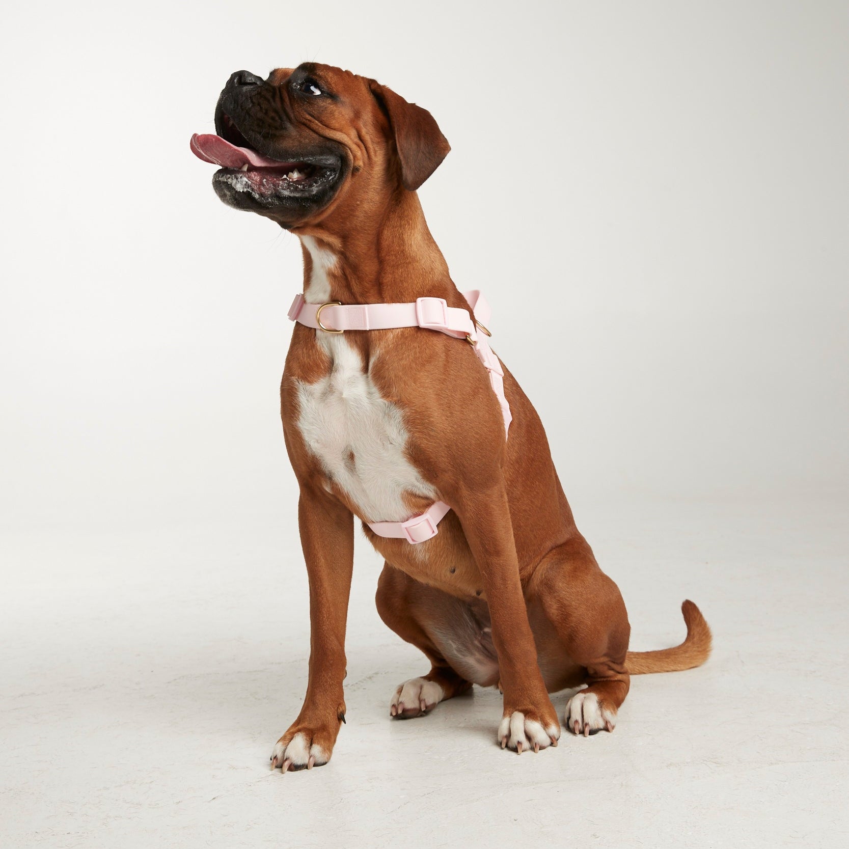 Waterproof harness - Baby Pink