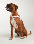 Waterproof harness - Baby Pink
