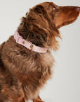 Waterproof Dog Collar - Baby Pink