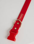 Waterproof Dog Collar - Cherry Red