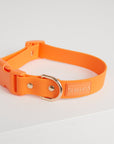 Waterproof Dog Collar - Orange