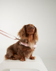 Waterproof harness - Baby Pink