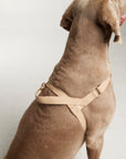 Waterproof No-Pull Dog Harness - Sand