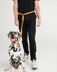 Hands Free Dog Lead - Orange
