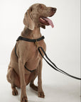 Waterproof harness - Black