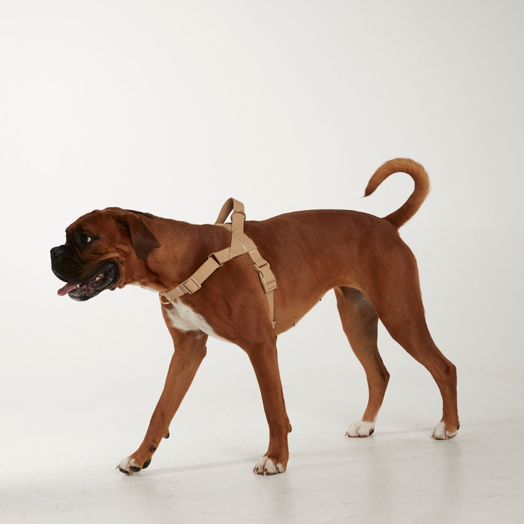 Waterproof harness - Sand