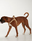 Waterproof harness - Sand