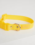 Waterproof Dog Collar - Lemon Yellow
