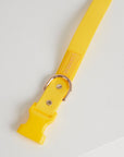 Waterproof Dog Collar - Lemon Yellow
