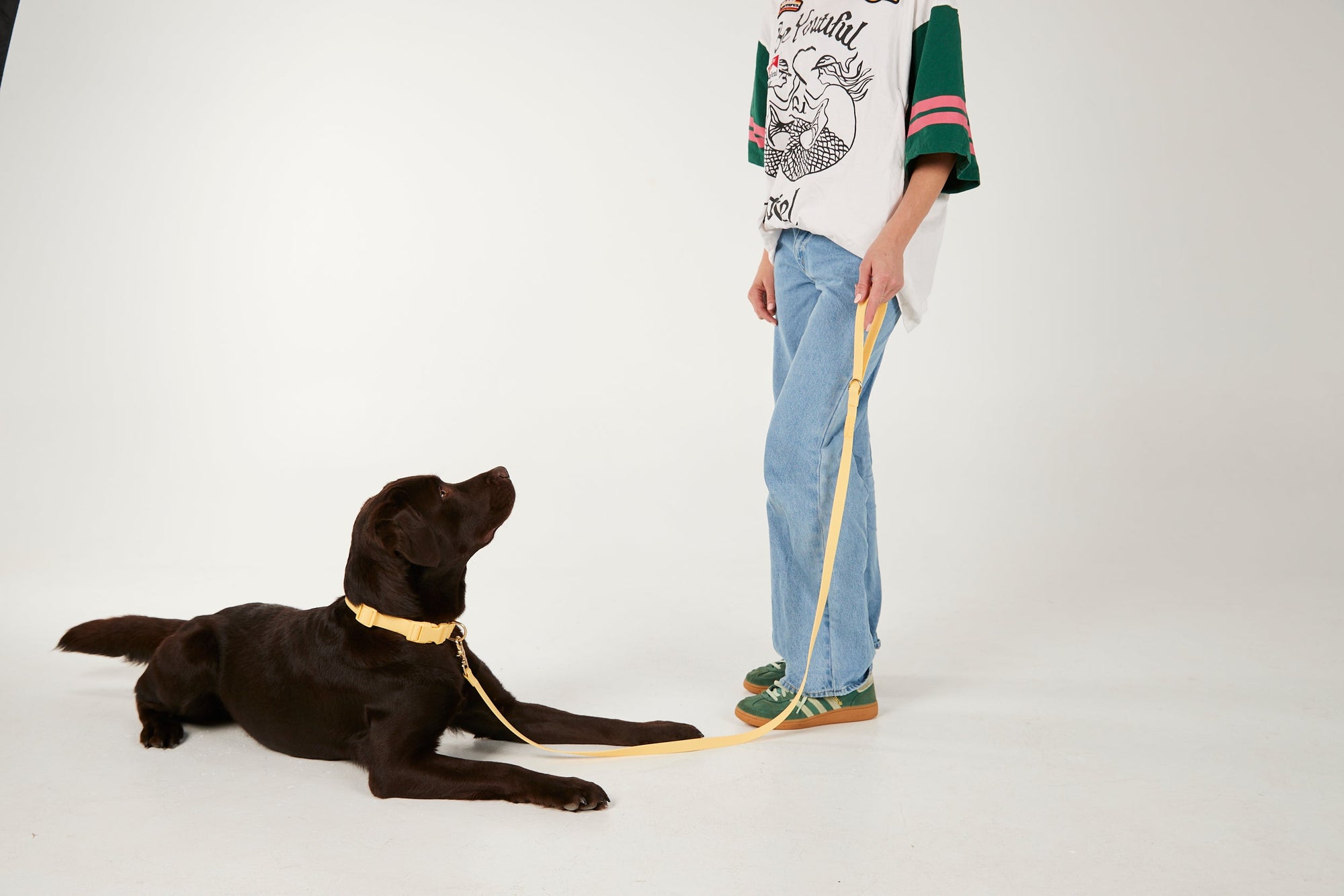 Waterproof Dog Lead